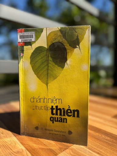 Chánh niệm thực tập Thiền quán
