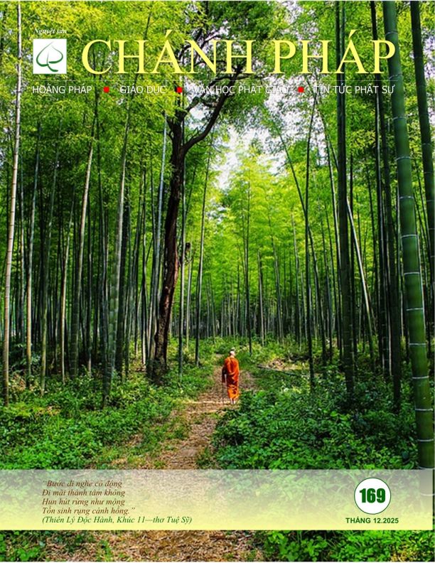 Chánh Pháp Số 169, Tháng 12.2025