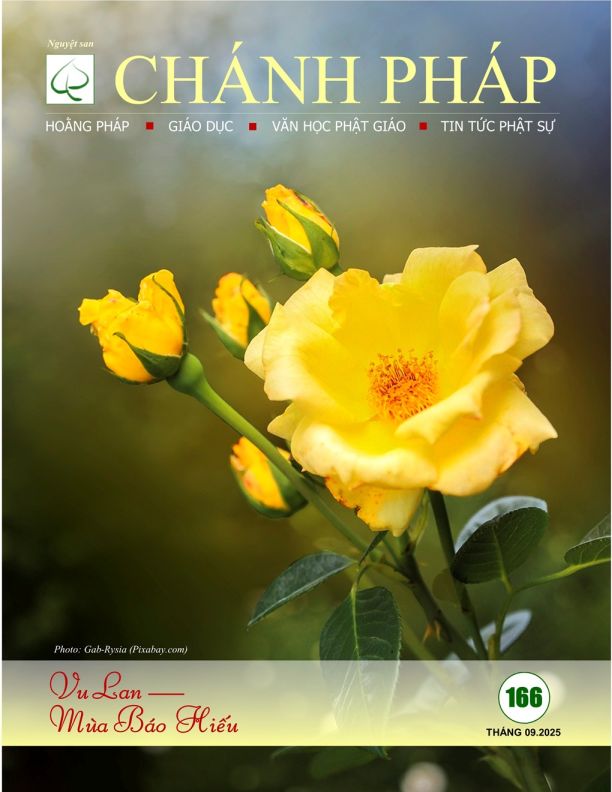 Chánh Pháp Số 166, Tháng 09.2025