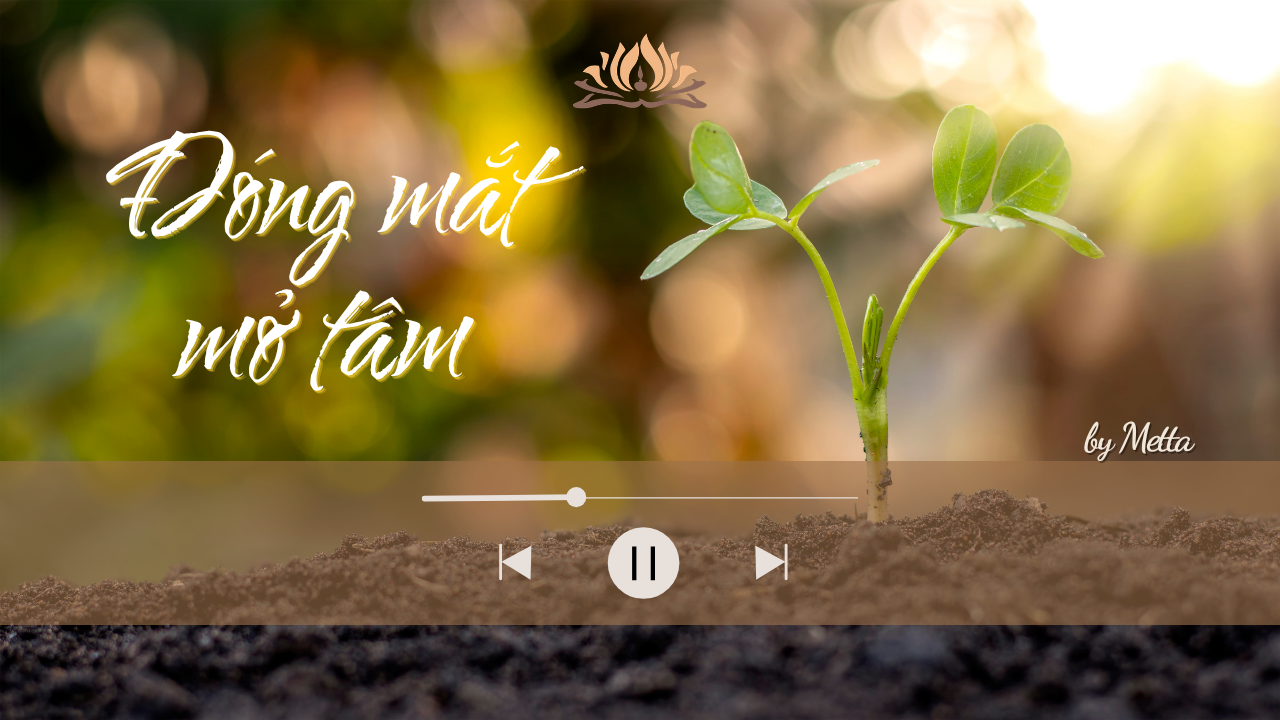 [TVPĐ - Âm nhạc] Đóng mắt mở tâm