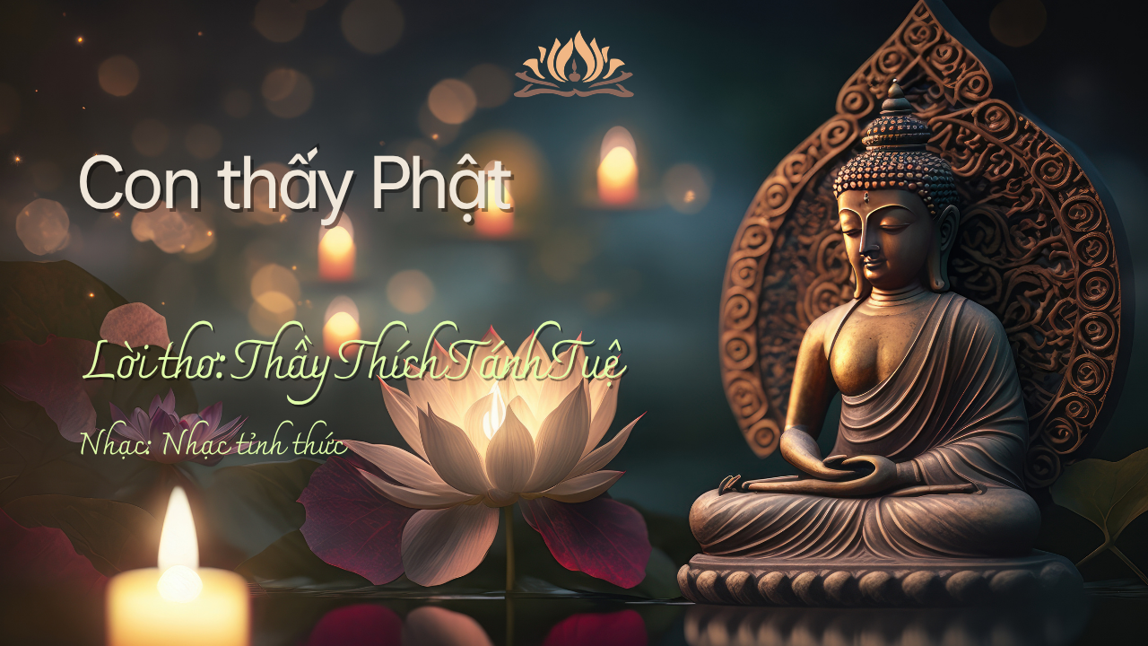 [TVPĐ - Âm nhạc] Con thấy Phật