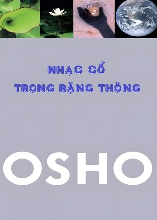 NHẠC CỔ TRONG RẶNG THÔNG