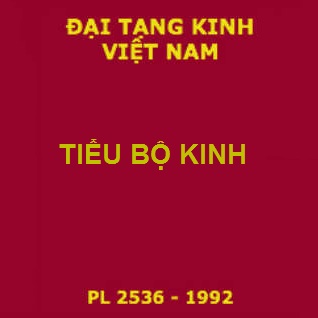 KINH TIỂU BỘ  TẬP V