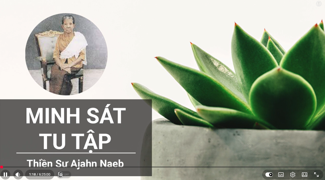 Minh sát tu tập - Ajahn Naeb